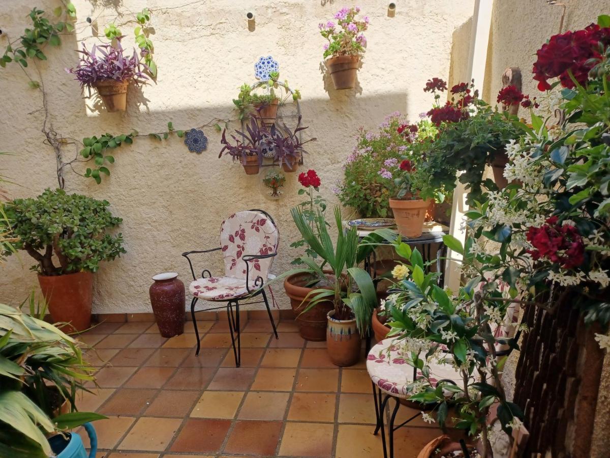 Casa Rural B&B Casamedico 투레 외부 사진